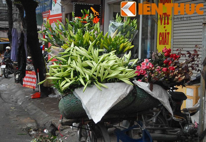 Không rực rỡ như hồng, cúc, ly... nhưng loài hoa mang sắc trắng nhẹ nhàng này vẫn được người dân Thủ đô đặc biệt yêu thích. Khắp các con phố Lê Duẩn, Nguyễn Chí Thanh, Láng Hạ, Lò Sũ.... hoa theo người xuống phố, vào từng căn nhà, văn phòng làm việc, quán cà phê... tạo nên những không gian thư giãn, xóa dần những ngột ngạt, khói bụi, xô bồ đô thị.