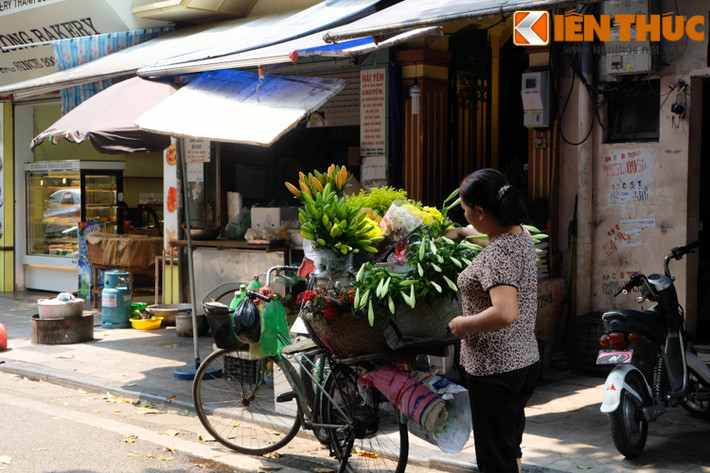 Hoa chỉ nở trong thời gian ngắn nên nhiều người dân tranh thủ mua thật sớm để cắm trong nhà.