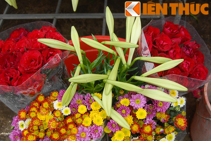 Đầu mùa, mỗi bó hoa loa kèn 10 bông được bán với giá từ 30.000 - 40.000 đồng.