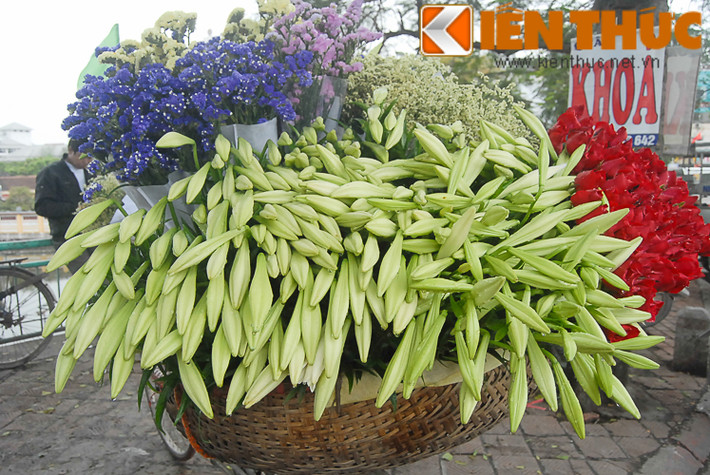 Tháng 4 về cũng là lúc hoa loa kèn theo các gánh hàng xuống phố, ra chợ. Loài hoa mang sắc trắng tinh khôi, giản dị này đã khiến cho những con phố Hà Nội thêm bừng sáng.
