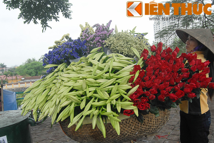 Loa kèn trên phố chủ yếu được thu hoạch từ những vườn hoa lớn ở Hà Nội như Nhật Tân, Tây Tựu.