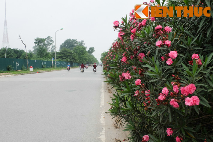 Đầy bên đường.
