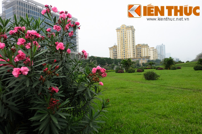 Chúng xuất hiện ở các khu dân cư.