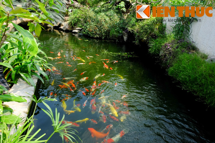 Người yêu thiên nhiên sẽ rất thích thú trước vẻ đẹp nhân tạo nhưng hoang sơ, tự nhiên này.