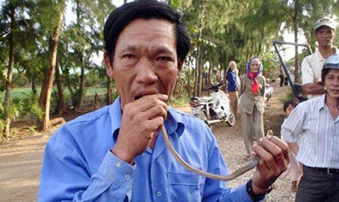 Trong số các dị nhân ở Việt Nam khiến người khác phải kiêng nể, ông Ngô Văn Tùy, trú ở thôn Tây (xã An Hải, huyện đảo Lý Sơn, Quảng Ngãi) là người có khả năng đặc biệt "dị". Ông Tùy có thể ăn tươi nuốt sống cả con rắn, thậm chí các loại côn trùng như cóc, ếch, rắn mối...cũng là món "khoái khẩu". Ảnh: BĐ&CS.