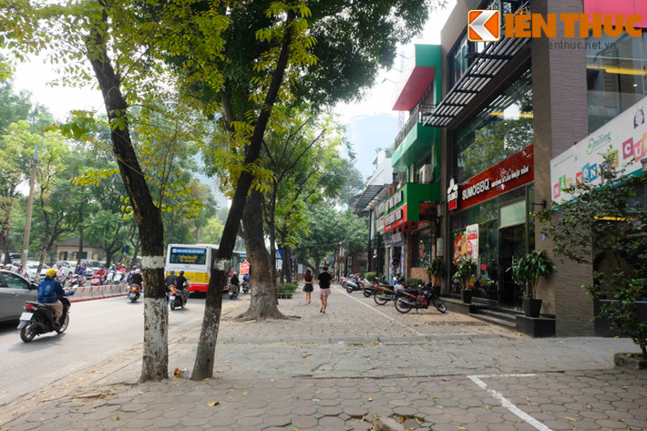Người đi bộ thảnh thơi dạo bước dưới hàng cây trên đường Thái Hà.