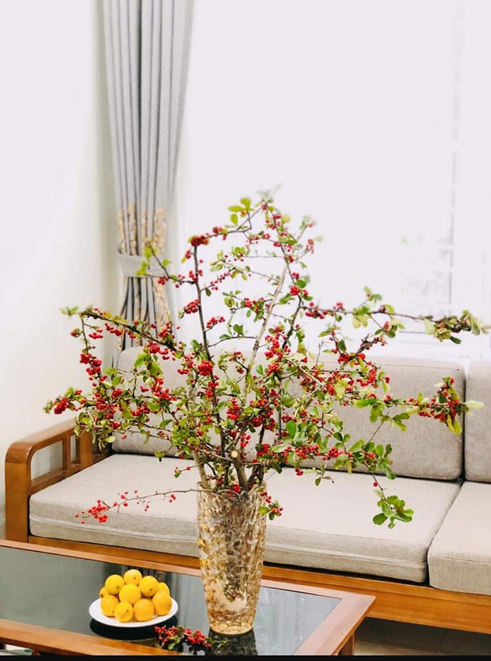 Cô Hạnh (một người bán cherry rừng) cho biết, hiện nay người cắm hoa đặc biệt chú ý đến cành hoa, cây lạ. Cherry rừng hiện đang được ưa chuộng vì mới lạ, dáng mảnh khảnh.