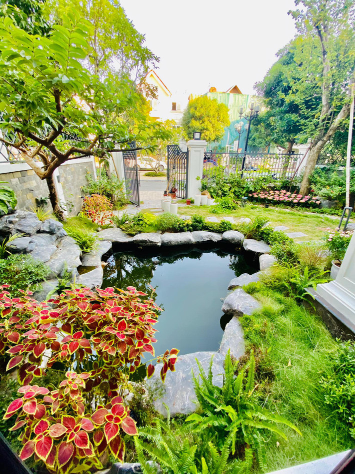 Hồ cá tạo cảnh quan đẹp mắt.