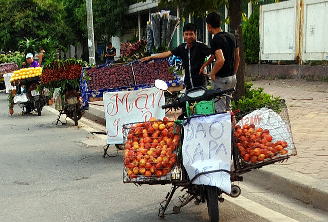 Nhìn từ xa, đào Sa Pa cứ ngỡ 15.000 đồng/kg song quan sát kỹ mới thấy có thêm ký tự "1/2 hoặc 0,5kg" ở dưới. Ảnh: TTT.