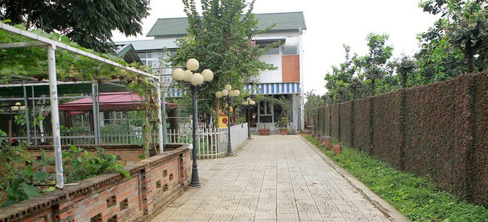 Lối vào ngập tràn cây xanh. Ảnh: Vietnamnet