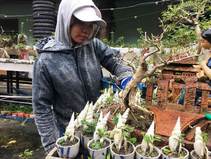 Theo ông Phúng, chăm sóc bộ sưu tập bonsai mini giống như chăm em bé nên đòi hỏi nhiều thời gian. Nếu lơ là, cây sẽ thiếu nước, chất dinh dưỡng. Ảnh: Dân Việt.