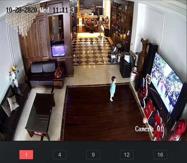 Mới đây, trên trang cá nhân, ca sĩ Tuấn Hưng đăng tải bức ảnh chụp lại từ camera trong phòng khách nhà mình với sự xuất hiện của cậu út - bé Sâm khi bố mẹ vắng nhà. Bức ảnh hé lộ phần nào không gian phòng khách sang trọng trong nhà nam ca sĩ.