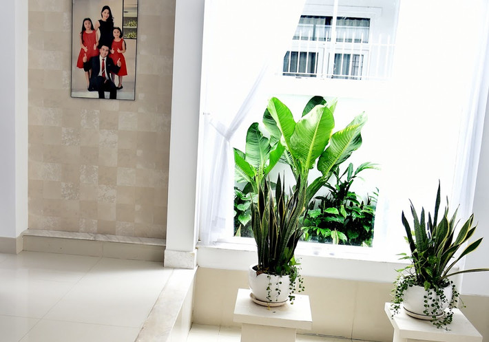 Mọi sắp đặt, trưng bày trong nhà đều được bà xã Quyền Linh tính toán chi ly. Ảnh: Vietnamnet.