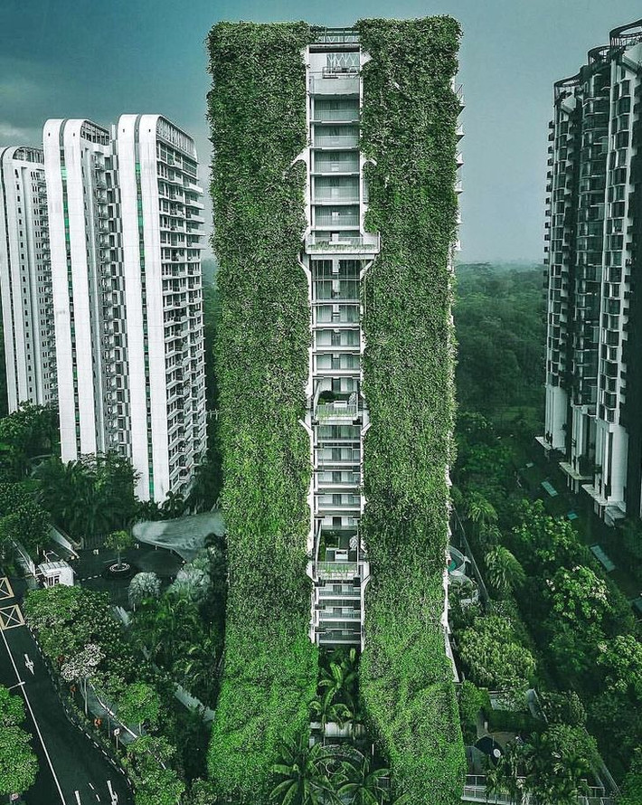 Bức tường xanh "đáng nể" của một tòa nhà ở Singapore.