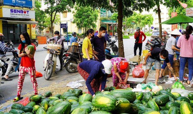 Dưa hấu cũng là một trong những nông sản Bắc Giang được bán nhiều tại các điểm giải cứu ở Hà Nội. Ảnh: Người đưa tin.