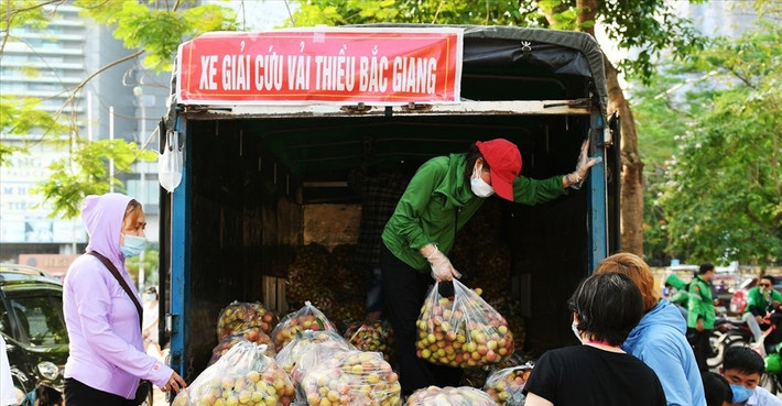 Một trong số đó là vải thiều Bắc Giang. Một số điểm giải cứu vải Bắc Giang như: số 86 Vũ Trọng Phụng, số 10 Nguyễn Trãi (Đại học Kiến Trúc), 75 Đại Cồ Việt... Ảnh: Lao động