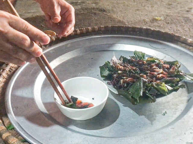 Ngoài khâu nhục, vịt quay, thịt lợn quay...Lạng Sơn còn có một món ăn dân dã mang hương vị núi rừng của người Tày, đó là tôm rừng. Ảnh: Tiem Gold TV
