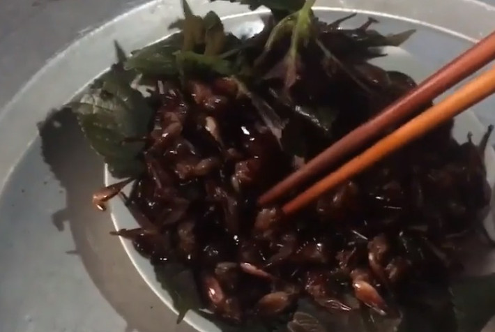 Tôm rừng thường được chế biến làm món nhậu bằng cách rang với lá gừng, lá chanh hoặc lá lốt, lá mắc mật. Ảnh: Tiem Gold TV