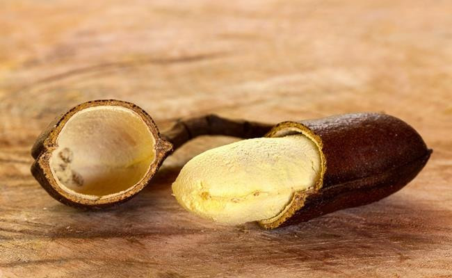 Tuy nhiên, Stinking Toe phải mất tới 8-12 năm mới ra quả nên có giá 32,94 Real Braxin (tương đương 149.000 đồng/kg).