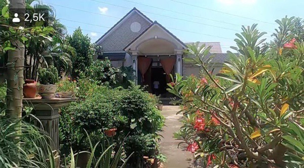 Hiện tại, bố mẹ của Lê Dương Bảo Lâm đã dọn lên căn nhà mới khang trang hơn, được trang trí nhiều cây kiểng. Ảnh: Giadinhnet