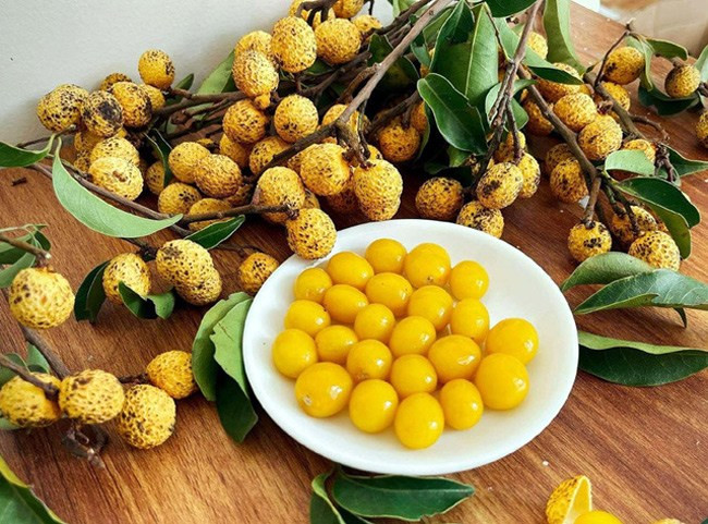 Nhãn rừng có hương vị đặc trưng, ngọt bùi chứ không ngọt đậm như nhãn thường. Cùi nhãn rừng mỏng, màu vàng óng, dẻo thơm. Đắt hơn nhãn thường song nhãn rừng vẫn được nhiều khách đặt mua vì lạ và hiếm gặp. Ảnh: Vietnamnet