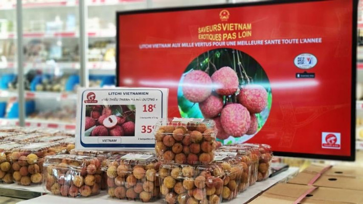 Trước đó, một tấn vải thiều Thanh Hà (Hải Dương) gắn tem truy xuất nguồn gốc lần đầu được nhập khẩu chính ngạch qua đường hàng không vào Pháp. Ảnh: Hanoimoi