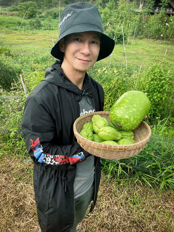 Mới đây, trên trang cá nhân, Lý Hải - Minh Hà khoe cả gia đình thu hoạch rau củ sạch trong vườn.