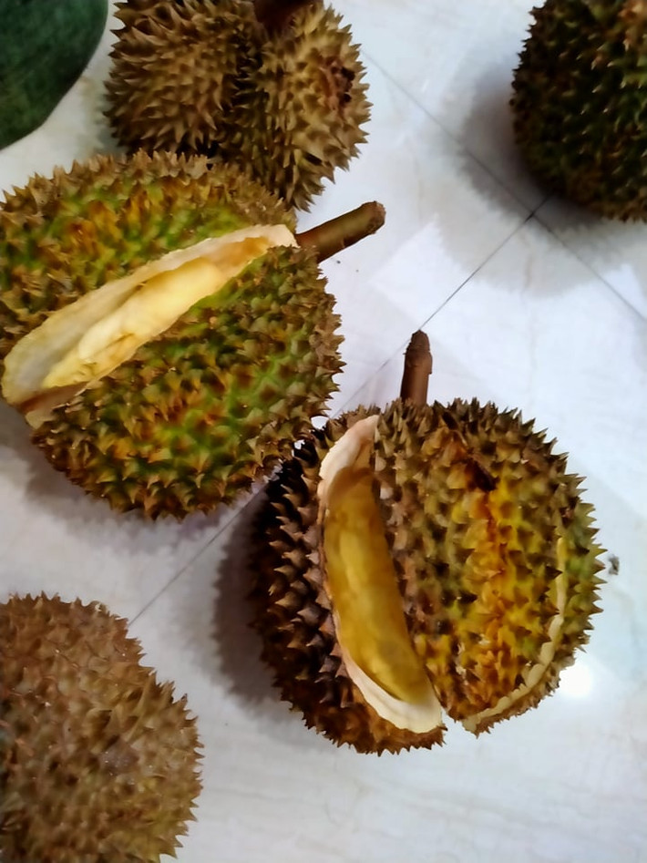 Mua đồ ăn trên mạng và lúc nhận hàng khác hoàn toàn với hình ảnh quảng cáo luôn là câu chuyện thường gặp và được hội chị em bàn luận sôi nổi nhất trên các hội nhóm. Mới đây, chi T. (Hà Nội) bỏ hơn 1,5 triệu đồng ra mua sầu riêng trên Facebook nhưng lại rước bực về người.