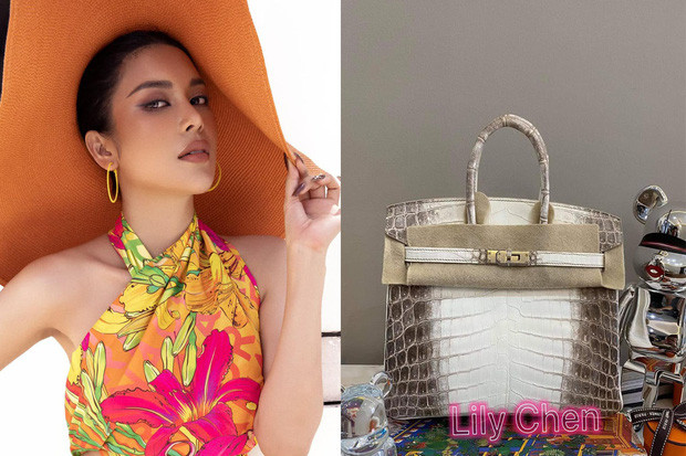 Ngoài xe hơi, LiLy Chen còn sở hữu nhiều mẫu túi xách hàng hiệu đắt đỏ. Đầu tháng 6/2021, Lily Chen chia sẻ chiếc túi Hèrmes bạch tạng da cá sấu giá 7 tỷ đồng do bạn trai tặng.