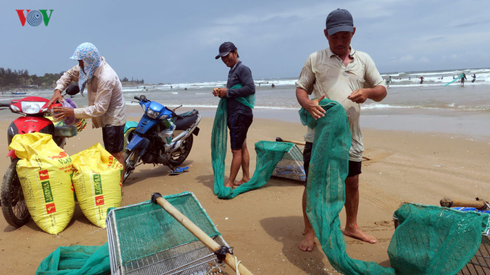 Mỗi người có thể kiếm được gần 1 triệu đồng/ngày khi chằng chằng xuất hiện nhiều./