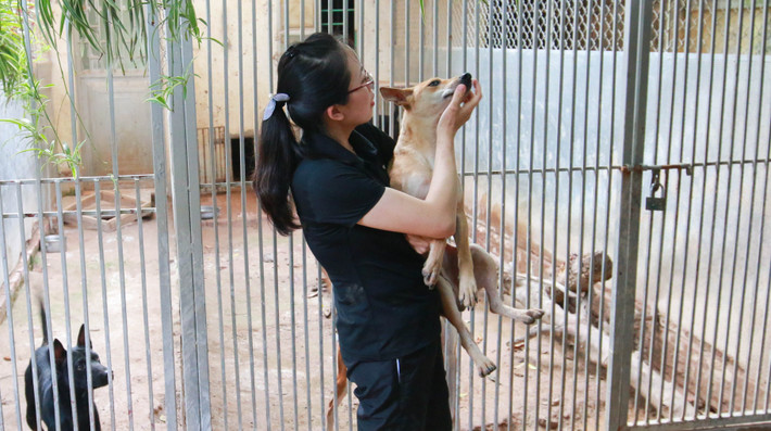 Không chỉ thỏa mãn niềm đam mê, những trang trại chó còn mang về nguồn thu lớn cho chị Hà. Ảnh: Người đưa tin.
