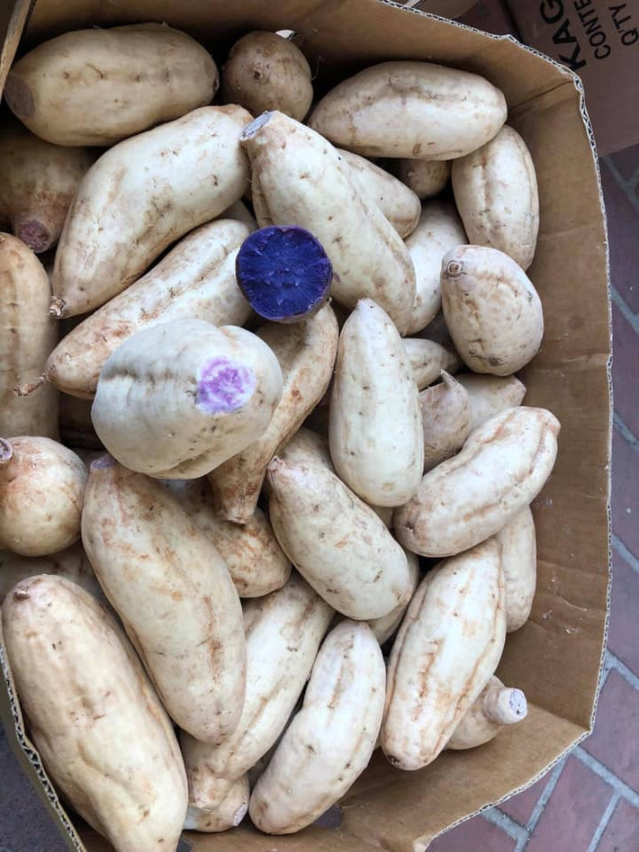 Khi nướng, hấp hoặc luộc, màu tím bên trong củ khoai càng đậm hơn, ăn dẻo, ngọt bùi và thơm. Ảnh: Facebook.