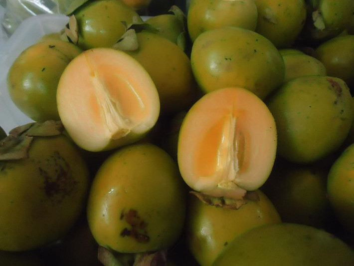Ngược lại, hồng Trung Quốc lại có thời gian bảo quản lâu, để thời gian dài vẫn có thể ăn được. Thậm chí, hồng Trung Quốc còn không thể chín được, đến thời điểm sẽ thối từ cuống rồi tới trái. Ảnh: Facebook.