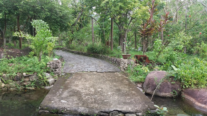 "Khu nghỉ mát" trái phép trên núi Hải Vân trên thuộc tiểu khu 11, phường Hòa Hiệp Bắc (quận Liên Chiểu, Đà Nẵng). Chủ nhân là ông Lê Tiến Dũng (trú Hòa Khánh Bắc, Liên Chiểu). Ảnh con đường bê tông dẫn từ ngoài cổng vào trong.