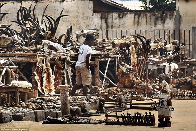 ‘Tà giáo’ Voodoo có nguồn gốc ở Tây Phi và phổ biển ở Togo và nước láng giềng Benin.