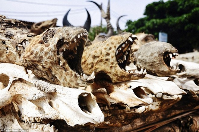 Khu chợ Marche des Feticheurs ở thủ đô Lomé, Togo được xem là khu chợ bùa ngải lớn nhất thế giới.