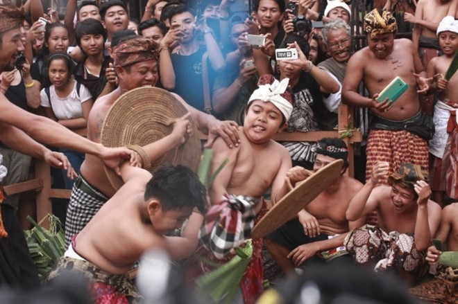 Gai trên lá dứa đâm vào cơ thể "chiến binh", gây chảy máu và đau đớn, nhưng người dân trong làng Tenganan coi thương tích là biểu hiện của lòng dũng cảm và nam tính.