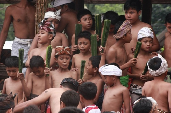 Những bé trai trong làng Tenganan trên đảo Bali, Indonesia, cầm lá dứa dại để chuẩn bị tham gia một nghi lễ trong lễ hội Usabha Sambah nhằm bày tỏ sự tôn kính đối với Indra, thần chiến tranh trong đạo Hindu hôm 8/6.