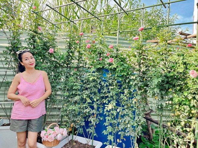 Vườn rộng nên vợ chồng Ốc Thanh Vân trồng đủ các loại cây ăn trái và hoa hồng.