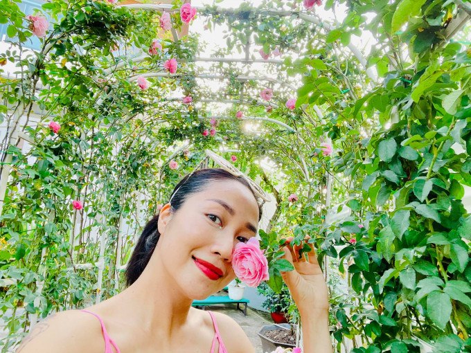 Riêng hoa hồng leo Pháp được cô làm giàn vòm trông như một cổng hoa cưới.