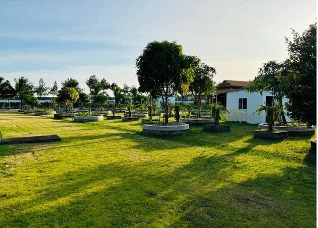 Toàn cảnh khu vườn rộng lớn.