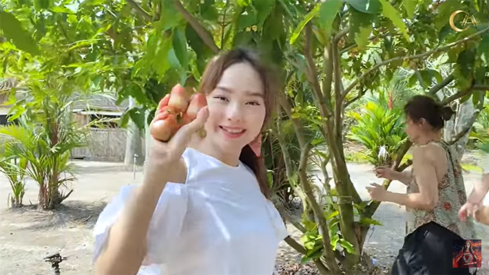 Nữ ca sĩ khoe thành quả hái mận trong vườn.