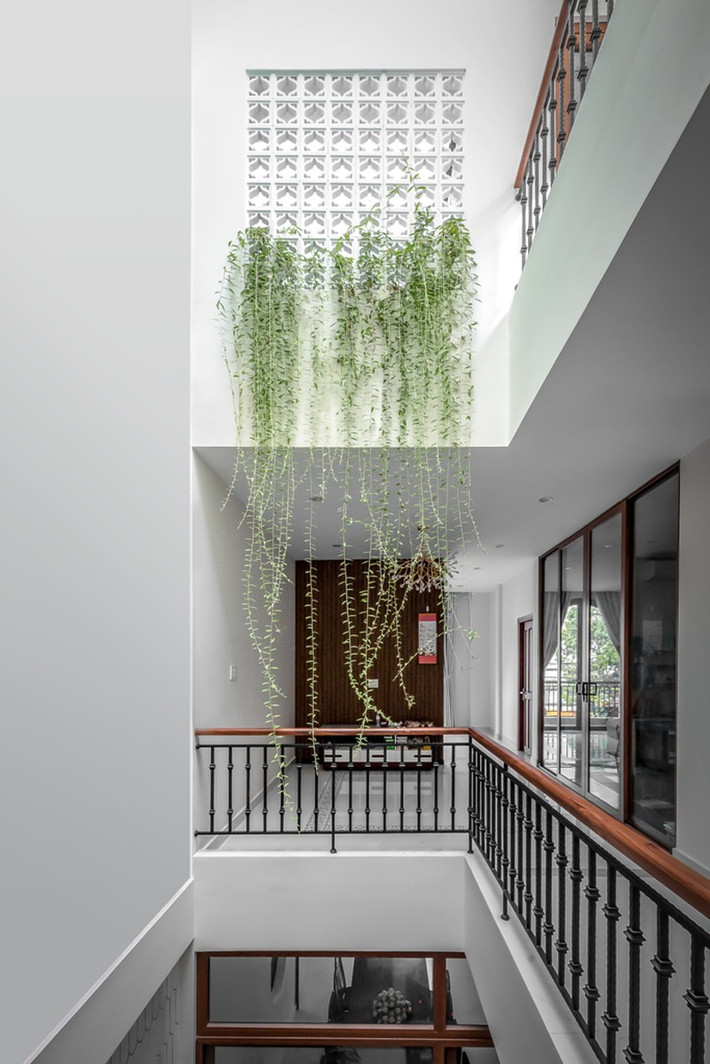 Giếng trời ở giữa ngôi nhà giúp ánh sáng len lỏi khắp không gian. Nguồn ảnh: Minq Bui
