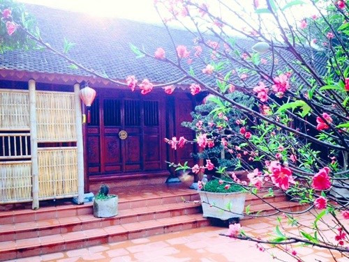 Và thanh tịnh.