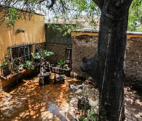 Đi qua một lối hẹp bên cạnh bếp sẽ vào sân thứ hai với một cái cây lớn cạnh phòng tạo hình của chủ nhà.