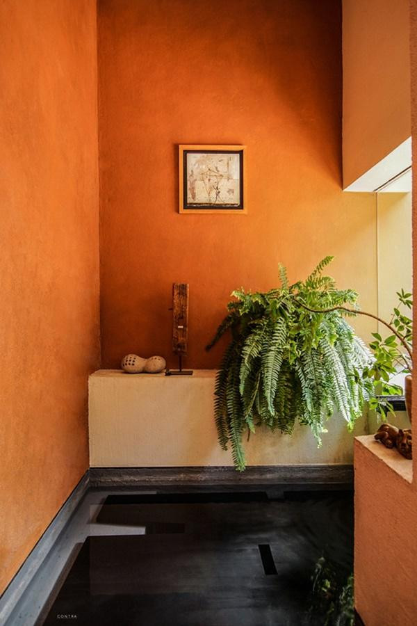 Căn nhà nằm trên thửa đất 290m2 ở Mexico.