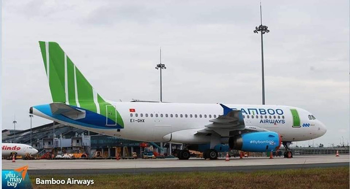 Máy bay nổi bật với đuôi màu xanh lá cây. Ảnh: Bamboo Airways.