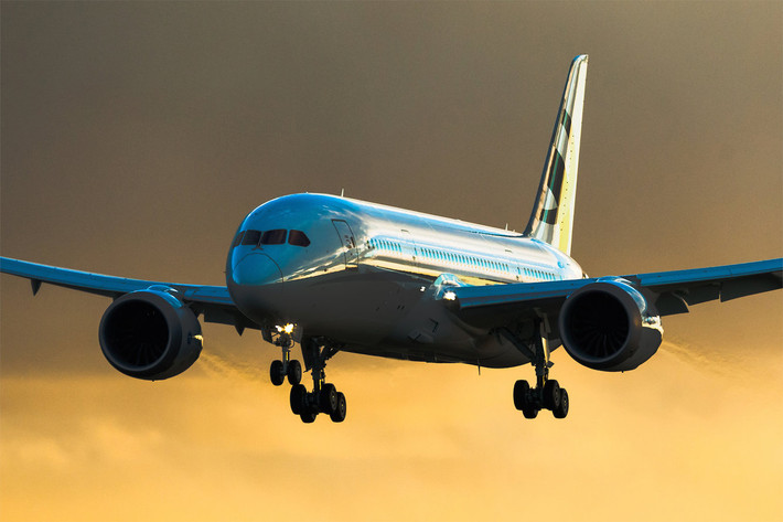 Boeing 787-8 BBJ có giá 224 USD với sức chứa 40 người. Năm 2016, tập đoàn HNA của Trung Quốc dành thêm 100 triệu USD để biến mẫu máy bay này thành máy bay tư nhân.
