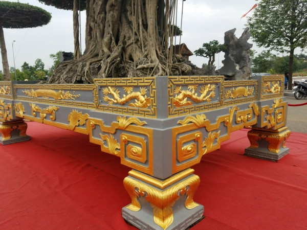 Cây sanh được đặt trong chiếc chậu dát 5 cây vàng trị giá 185 triệu đồng. Ảnh: Dân Việt.