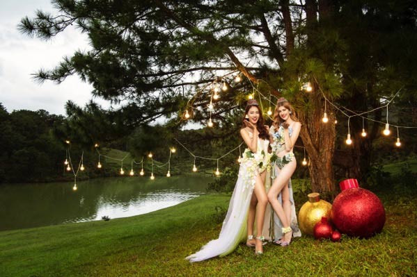 Đây không phải lần đầu tiên Vietjet Air sử dụng những hình ảnh "nóng bỏng" để quảng cáo, gây nên tranh cãi. Những năm trước, không ít người cho rằng những hình ảnh này không phù hợp với thuần phong mỹ tục của người Việt.